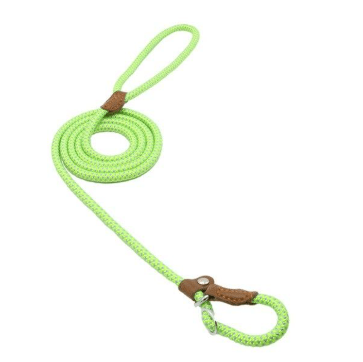 Nylon Pup Set vibrant green dog leash made from durable, premium materials for stylish and strong walks.