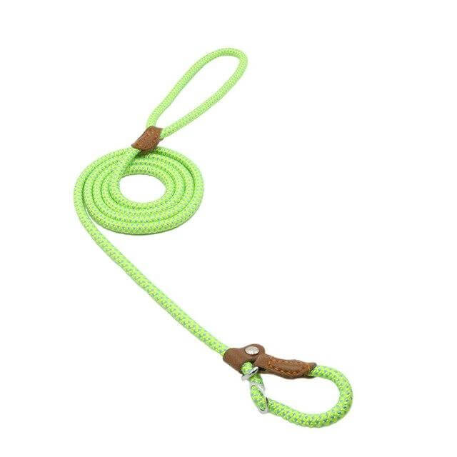 Nylon Pup Set includes a vibrant green dog leash with a soft grip handle and durable clip for secure walks.