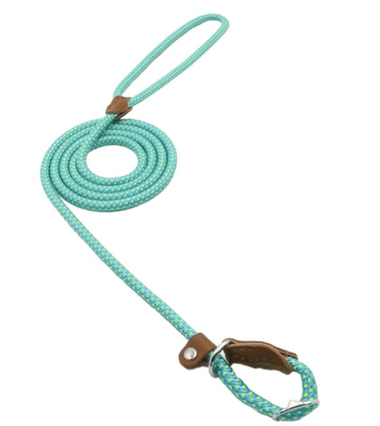 Stylish Nylon Pup Set dog leash in turquoise with leather handle for comfort and durability.