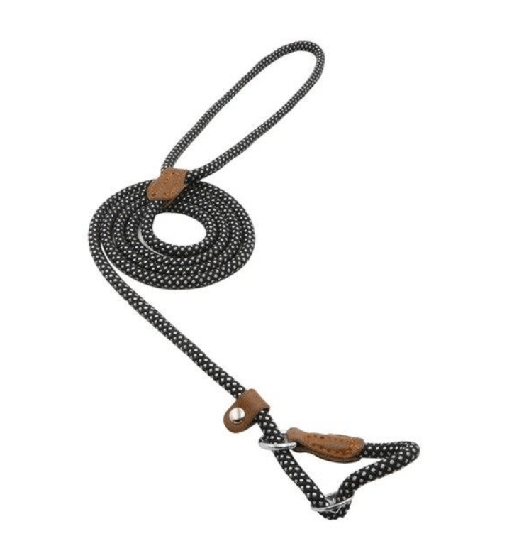 Nylon Pup Set lead featuring polka dot design, sturdy construction, and a stylish look for dogs.