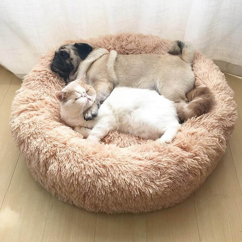 Two pets cuddled together in a Calming Donut Bed for Dogs & Cats, illustrating comfort and warmth.