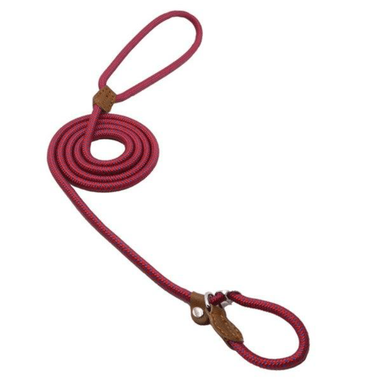 Nylon Pup Set red dog leash featuring sturdy design and comfortable grip for pet adventures.
