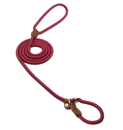 Nylon Pup Set red dog leash featuring sturdy design and comfortable grip for pet adventures.