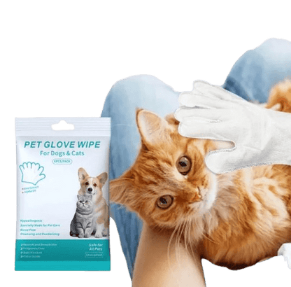 Pet Cleaning Gloves & Wipes showcasing a person grooming a cat with hypoallergenic glove wipes for safe pet hygiene.