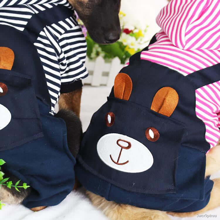 striped dog hoodie winter outfit on two dogs, showcasing adorable striped and bear-themed designs.