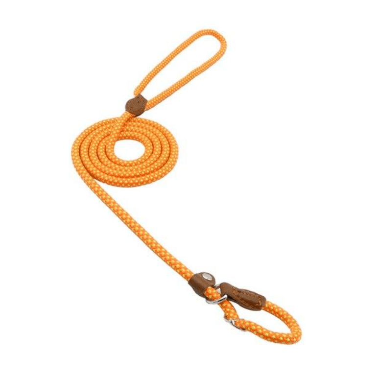 Nylon Pup Set durable orange dog lead with soft handle, perfect for stylish walks and adventures.