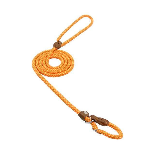 Nylon Pup Set orange dog leash featuring a sturdy design and comfortable grip for outdoor adventures.