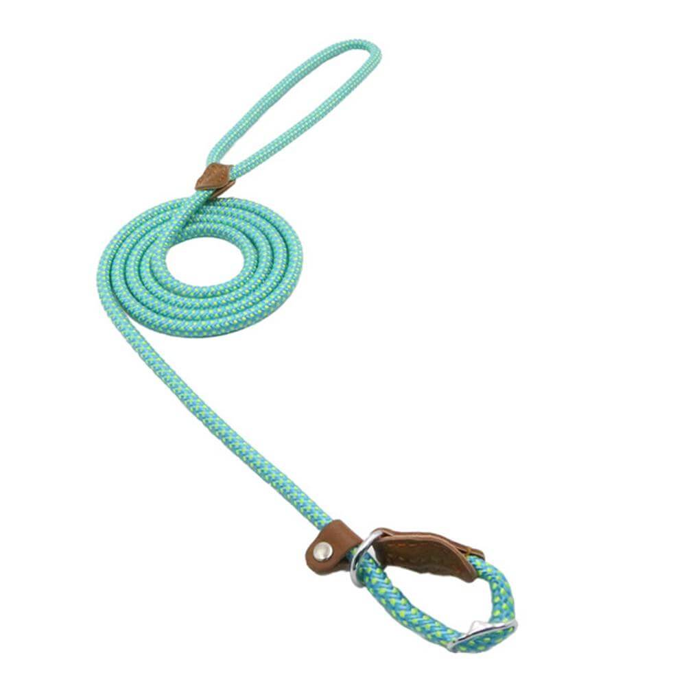 Nylon Pup Set leash in mint green color with braided design and leather handle, perfect for stylish dog walks.