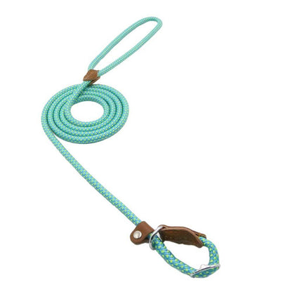 Nylon Pup Set leash in mint green color with braided design and leather handle, perfect for stylish dog walks.