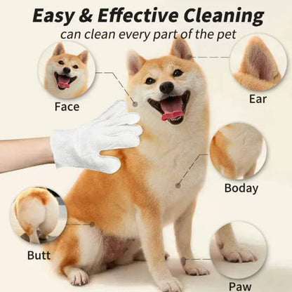 Pet Cleaning Gloves & Wipes illustration showing easy and effective cleaning areas on a dog.