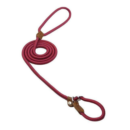 Durable red Nylon Pup Set leash coiled for comfortable dog walking with a stylish design and sturdy craftsmanship.